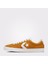Pl Vulc Pro Summer 2
