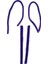 Dyson V6 V7 V8 V10 V11 Elektrikli Süpürge Için 8 Adet Yumuşak Peluş Şeritler Yumuşak Silindir Temizleme Başlığı Yedek Elektrikli Süpürge Aksesuarları (Yurt Dışından) 3