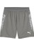 Teamcup Training Shorts Erkek Futbol Kamp Şortu 65917113 Gri 1