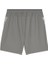 Teamcup Training Shorts Erkek Futbol Kamp Şortu 65917113 Gri 2