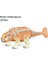 No.1 Tarzı Büyük Dinozor Dünyası Oyuncak Yapı Taşları Ankylosaurus Triceratops Model Çocuklar Için Hediye (Yurt Dışından) 3