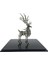 Kurt Tarzı Yetişkin ve Çocuklar Için 3D Metal Model Çin Zodyak Dinozorları Batı Ateş Ejderhası Dıy Montaj Modeller Oyuncaklar Koleksiyon Masaüstü (Yurt Dışından) 5
