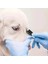 Küçük Kedi Köpek Evcil Hayvan Göz Tarak Fırça Evcil Hayvan Göz Yaşı Leke Çıkarıcı Tarak Çift Taraflı Göz Bakım Fırçası Kabuk Mukus Temizleme Için (Yurt Dışından) 1