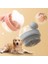 Pres Tip Silikon Köpek Fırçası Kontrol Akış Hızı Şampuan Puppycat Yı Dispenser Pet Bakım Fırçası Masaj Duş Banyosu Fırçası Renk: Yeşil Şampuan Fırçası (Yurt Dışından) 1