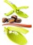 Buffer® Kestane Çizici Chesnut Cutter 1