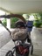 Bebek Arabası Bardak Tutucu (Cybex Balios S Lux Uyumlu ) 3