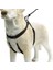 Köpek Yürüyüş Eğitim ve Düzeltme Tasması, S 3