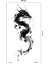 Ejder Dövmesi Dragon Tattoo Kol Bilek Göğüs Vücut Dövme 1