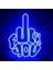 Neon LED Dekoratif Aydınlatma -F.ck You, 30X40CM- 1