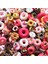 No.14 Tarzı Telefon Kılıfı Süsleme Için Mini Reçine Şeker Donut Aksesuarı Mini Reçine Pasta Meyve Şeker Çikolata (Yurt Dışından) 4