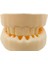 Silikon Çene Diş Dikiş Modeli Ortodontik Alt Üst Çene Periodontal Eğitim Modeli-4 2