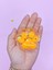 Işıklı Şeffaf Pati Squishy Pullu Yumuşacık 6 cm Pati Sukuşi - Turuncu 4