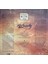 Air Supply ‎– Greatest Hits Live In Concert Limitli Baskı Renkli Lp Plak 2