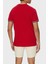 Pamuk Regular Fit Bisiklet Yaka T Shirt Erkek T Shirt MW0MW38630 Xld 3