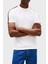 Pamuk Regular Fit Şerit Detaylı T Shirt Erkek T Shirt MW0MW38632 Ybr 1
