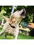 Buffer® Ultrasonik Köpek Kovucu ve Eğitici Cihaz 4
