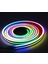 Neon Hortum LED 12 V Rgb 5 mt 2