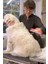 Buffer® 23 kg Üzeri Uzun Tüylü Köpekler Için Tüy Toplayıcı Ergonomik Tarak 5