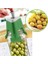 ® Kolay Zeytin Dilme Çizme Aparatı Pratik Kolay Zeytin Çizici Alet 4