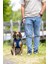 Köpek Göğüs Tasması, Neopren, Mavi, M, 41-46 cm 4