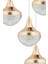 Talu 5'li Gold 3 Renk Ledli Lüx Sarkıt Modern LED Avize 2