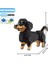 Dachshund Stili Kutu Yok Karikatür Hayvanlar Husky Dachshund Mini Mikro Tuğla Modeli Shiba Inu Schnauzer Poodle Mike Köpek Yapım Blokları Oyuncakları Çocuklar Için (Yurt Dışından) 1