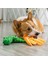 Xixishop Köpek Yastık Ahtapot Çiğnemelik Oyuncakı, Dolgusuz, Yeşil (Yurt Dışından) 4