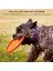 Xixishop Küçük ve Ortalama Boy Kutular Için Köpek Uçan Diskleri Etkileşimli Oyuncaklar (Yurt Dışından) 5