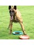 Xixishop Köpek Uçan Disk Hafif Yüzebilen (Yurt Dışından) 2