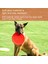 Xixishop Köpek Uçan Disk Hafif Yüzebilen (Yurt Dışından) 4