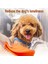 Xixishop Köpek Uçan Diskleri Etkileşimli Köpek Oyuncakları (Yurt Dışından) 3