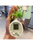 Sanrio Kurome Bebek Anahtarlık Kadın Sevimli Tamagotchi Köpek Peluş Kamera Biblolar (Yurt Dışından) 1