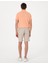 Erkek Vizon Slim Fit Gofre Dokuma Şort 50309644-VR052 4