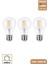 A60 Şeffaf 12W 3000K E27 Günışığı Dimmerli LED Ampul ERD-304 1