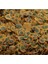 Pro Algae 100 Gram Bitkisel Balık Yemi 2