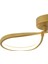Vetto Gold 38 Watt Plafonyer 3 Renkli Ledli Modern Mutfak Banyo LED Salon Sarkıt Avize 4