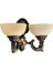 Omega 2li Ananas Renkli Cam Başlıklı, Eskitme Antik Renk Metal Gövde, Aplik, BS.3035-52-29A 1