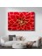 Kırmızı Yıldız Çiçeği - Geometrik Detaylı Makro Çekim Kanvas Tablo 1