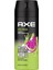 Erkek Deodorant Sprey 150 ml +Apollo+Africa+Dark Temptation+Epic Fresh+Leather&cookies 5