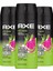 Erkek Deodorant & Bodyspray Epic Fresh 48 Saat Etkileyici Koku 150 ml X3 2