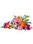 10342 LEGO Iconic Botanicals Pembe Çiçek Buketi 749 Parça +18 Yaş 4