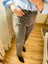 Leopar Jean 3