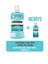 Cool Mint Hafif Tat 250 ml + Cool Mint 95 ml Hediye 1