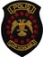 Polis Vip Koruma Nakış Peç Patch - 7.5X10 cm 1