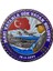 Mavi Vatan Gök Vatanla Buluştu Hatıra Peçi Patch - 9.5 cm 1