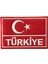 Kırmızı Türk Bayrağı ve Türkiye Yazılı Nakış Peç - 8x5 cm 1