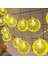2m 10 LED Pilli 2 Kademeli Limon LED Işık 1