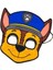 Baskılı Tişört Şort ve Paw Patrol Chase Maskeli Yeşil Renk Çocuk Takım 2
