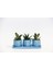 Trio Mavi Adler Sukulent Seti - Gasteria, Haworthia 2