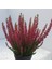 Erika (Funda) Çiçeği – Erica Carnea - Pembe 5